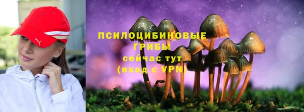 дживик Красноперекопск