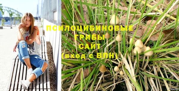 героин Бикин